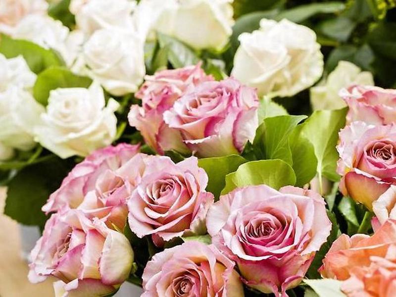 2684245D9A5C36656D2A05701FEC738B