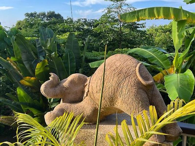 9AE805B2303ED357F787314E4ED8E767