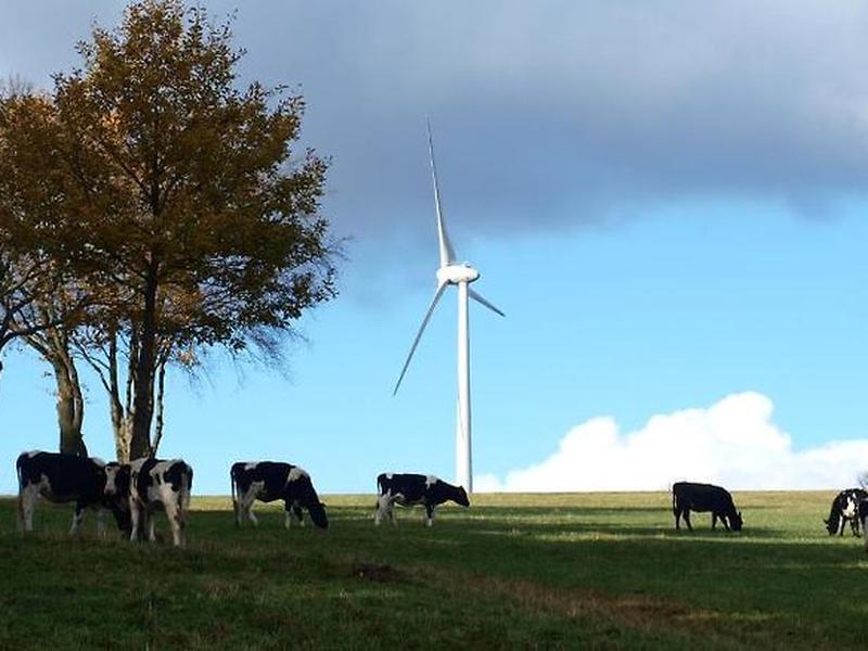 531EBA6359A81D0375AE032306E06326