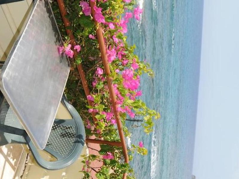 6FF3CF3942C22B8F1A44EB3317A50123