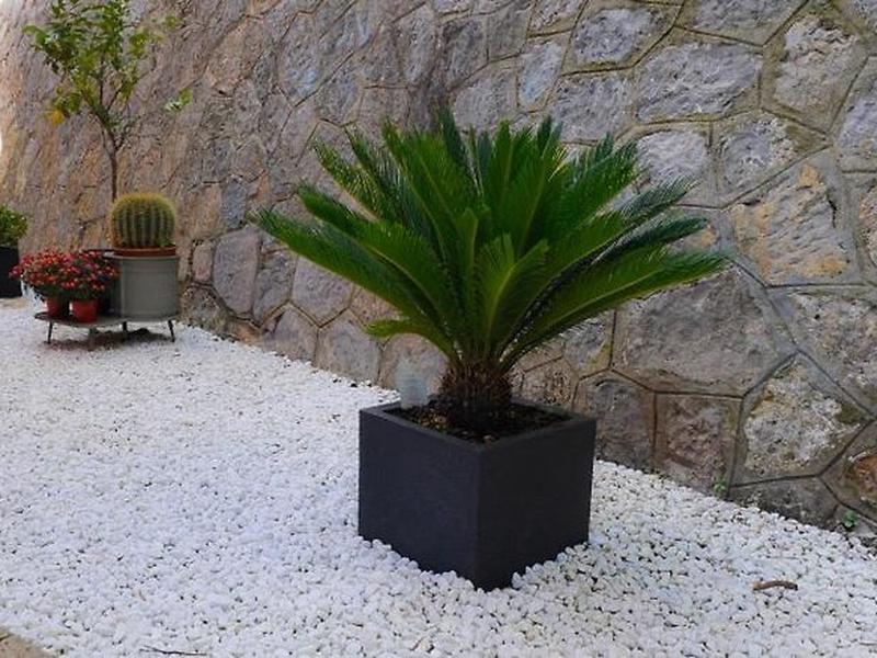 0D260FA4FE80D89398FCA0C5055A579B