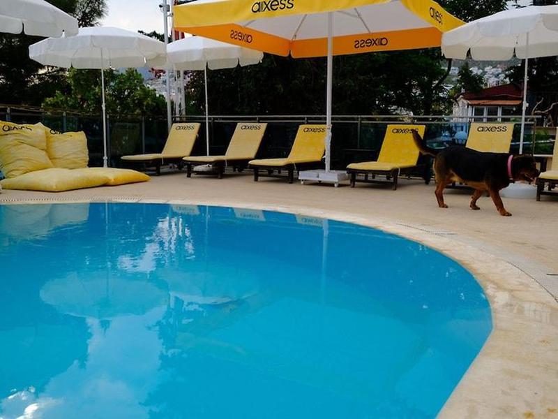 E995999A6E39A00C6069075E407E6007