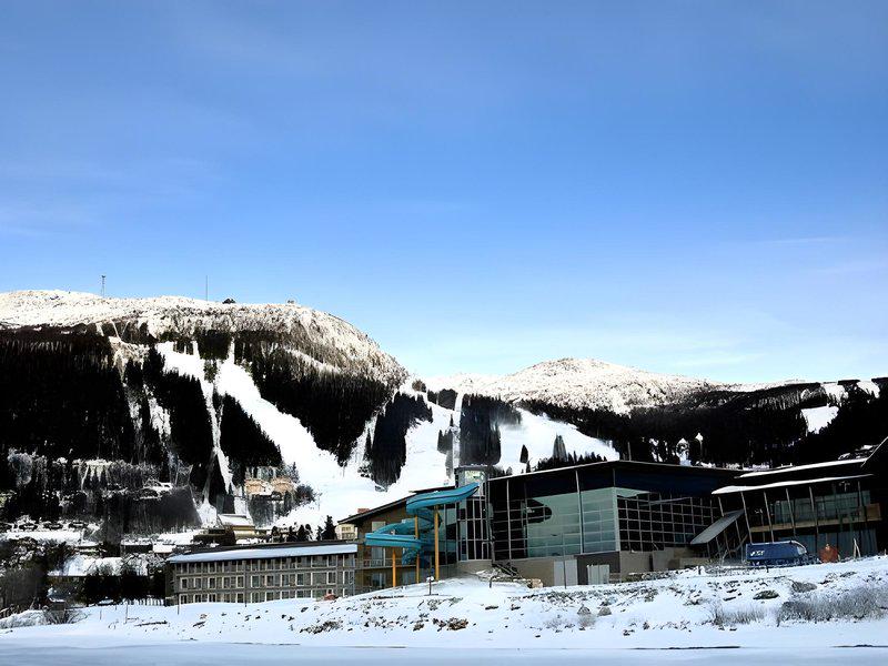 88D045FB80DE79E71564BCC3C77EEAF6