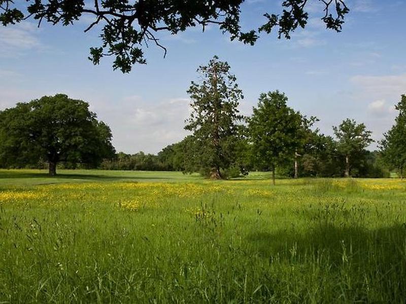 D729B15B9F0618DFB2FE8FB066939719