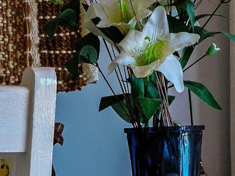 6223D478A2E8290FA9F3CCC0D9C70F51