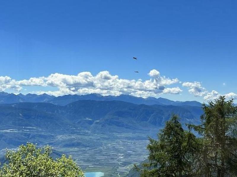 825656227DEEFD2E949FFE5A164409B5