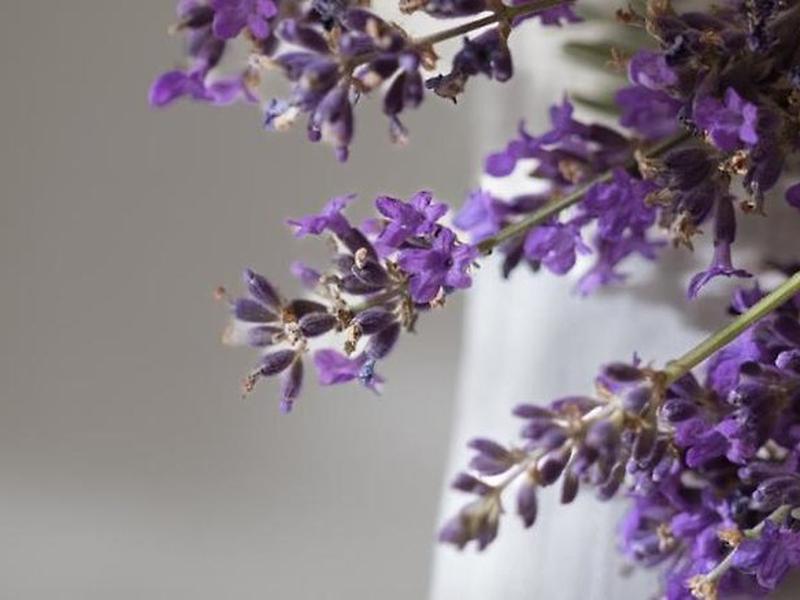 078143217F34A813A3B37FB8C1C1FA8E