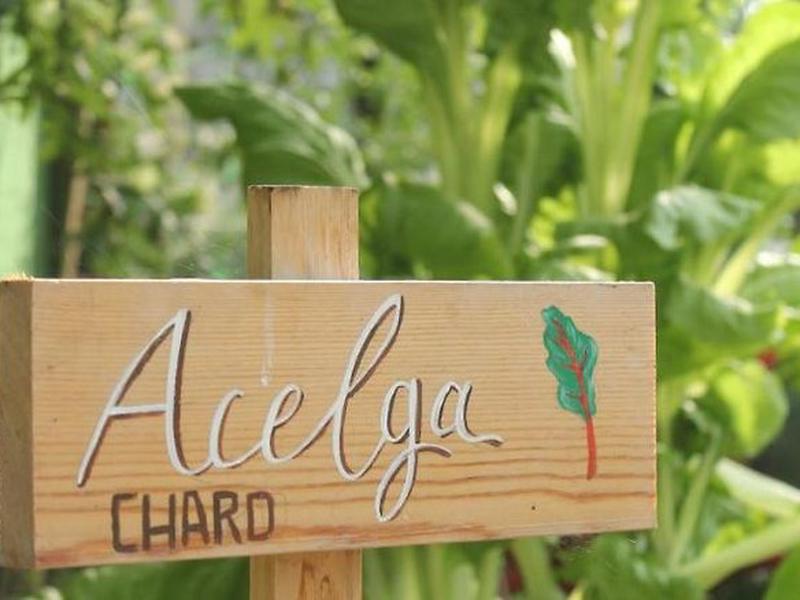 2299F5E994A312EA03F1164AEF1E2EE7