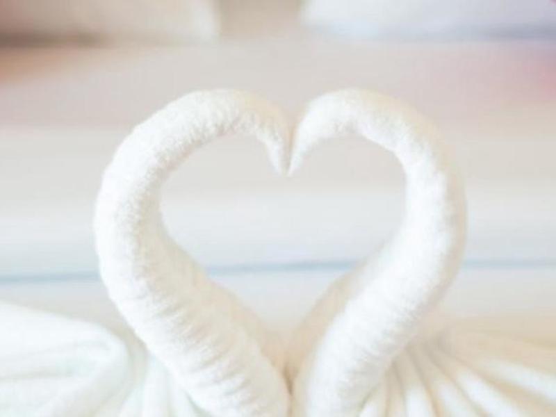 BDFEC0D82959125F4CFFA3A2C1B5E636