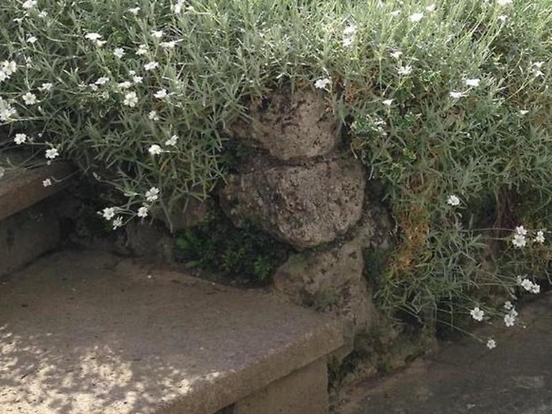 D9261A789F1010875DC733B3D0BA12F8