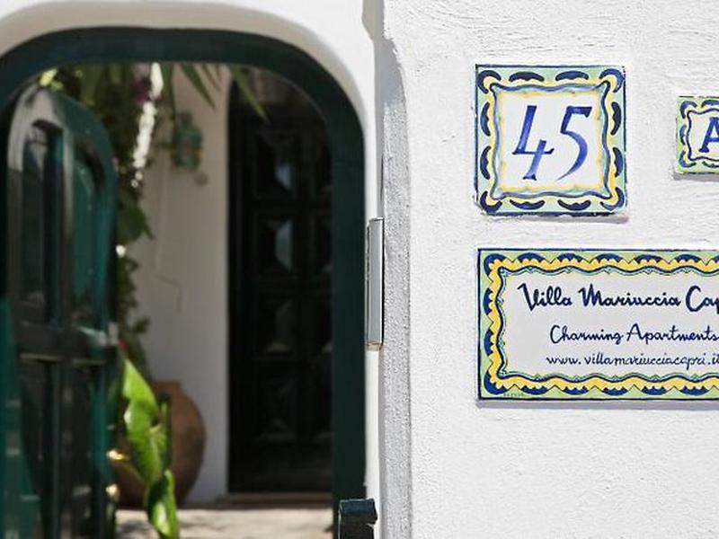 655049A8F243D63826D12F66AFEA7536