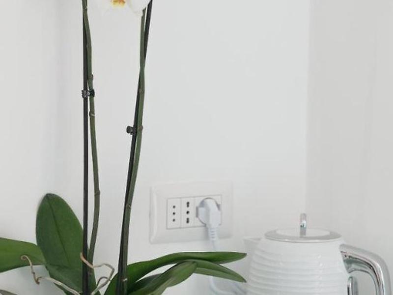 AB37D95A03EB41C28126B7D793B80BC9