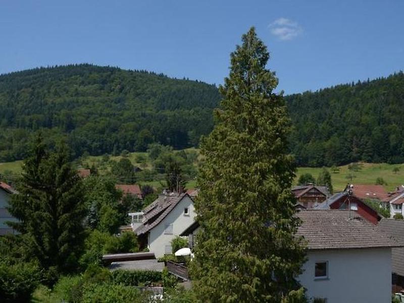 E41FFA6372EB5F39B67170922F379E57