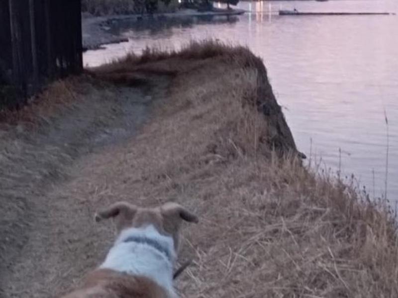 A801D1AF996120D8EB225D16275C7128