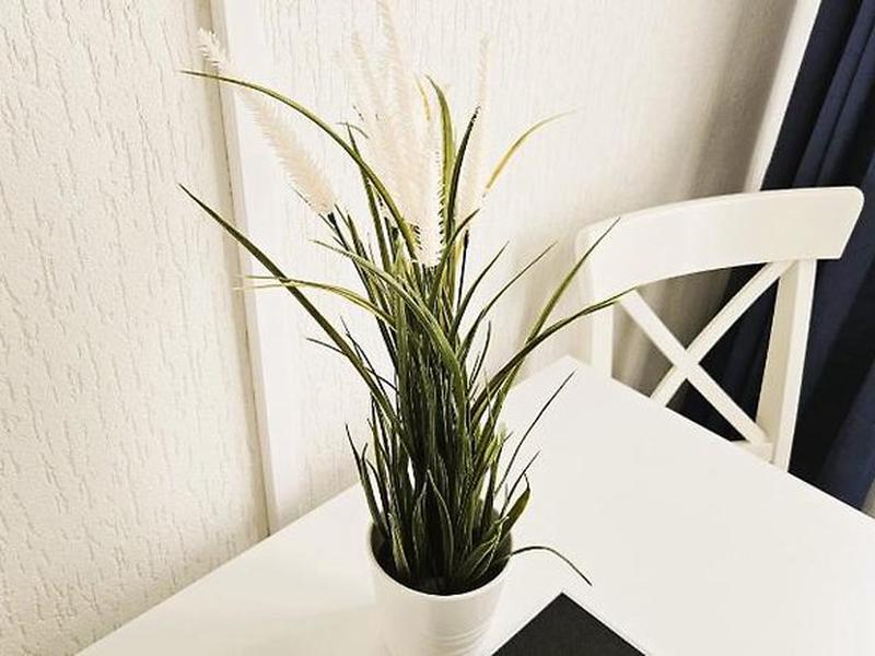 FA30CE0406321E36D3B5AE977793FB37