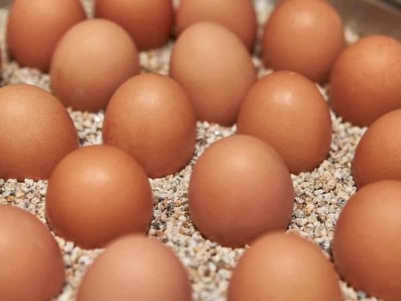 D9DDD20DE62FE533111BE13811391B68