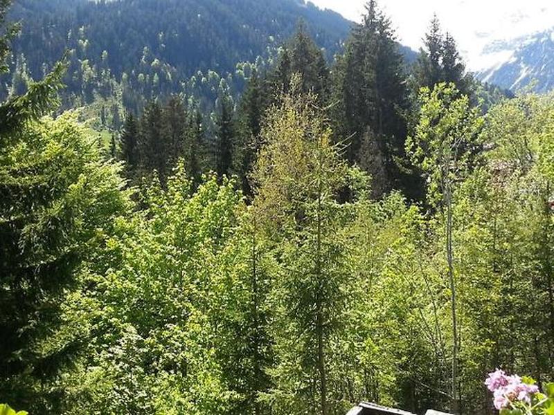 012C6BD1E7DDBFF21D5D58A43BC8EC8C