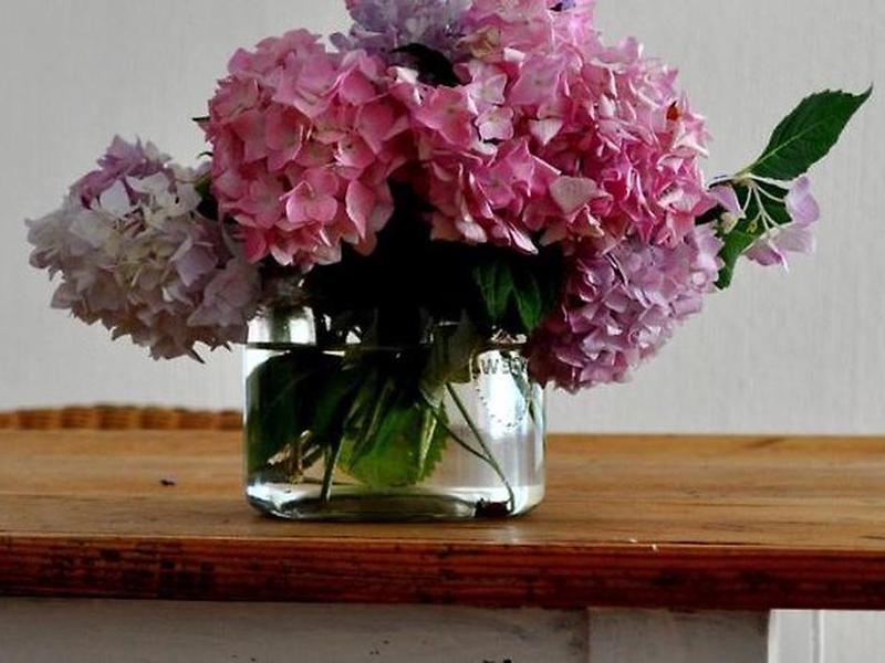 20F87CE56B0AB9DC7FD803A90AC0B2CA