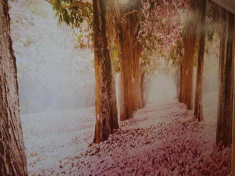 E5E197724B83FA4212B4CBE51EE4FC97