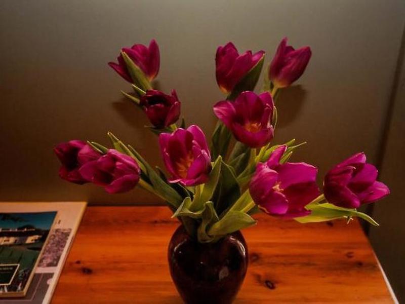 CDFDC3455E81E74E598AB4516A05E1A8