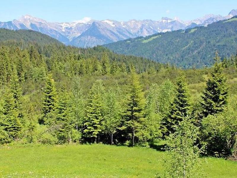 5AB7F040A4340CEDA2ED9C2F0B6D3C3C