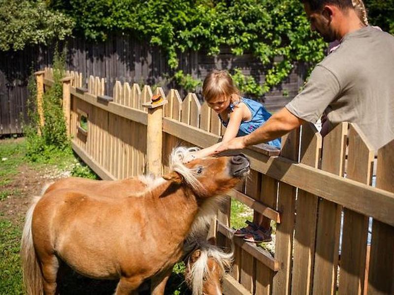 691A3A5E2471ED796831F76898267EF1