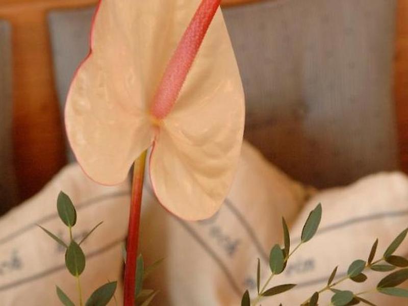 7D9882A74A493D7AD3D815DE4EA2F17C