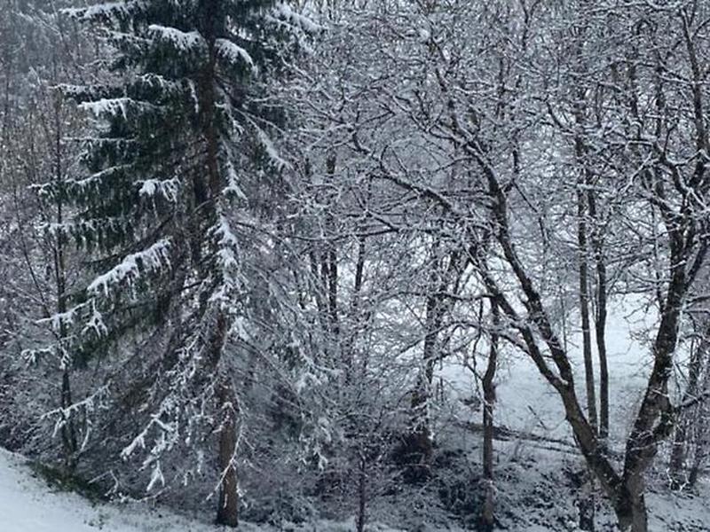 2601E845AFB12DC17C2D6362FD222CB4