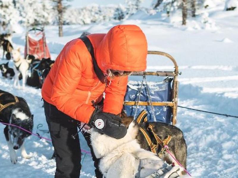 D9371B09D3172374198D085222C46531