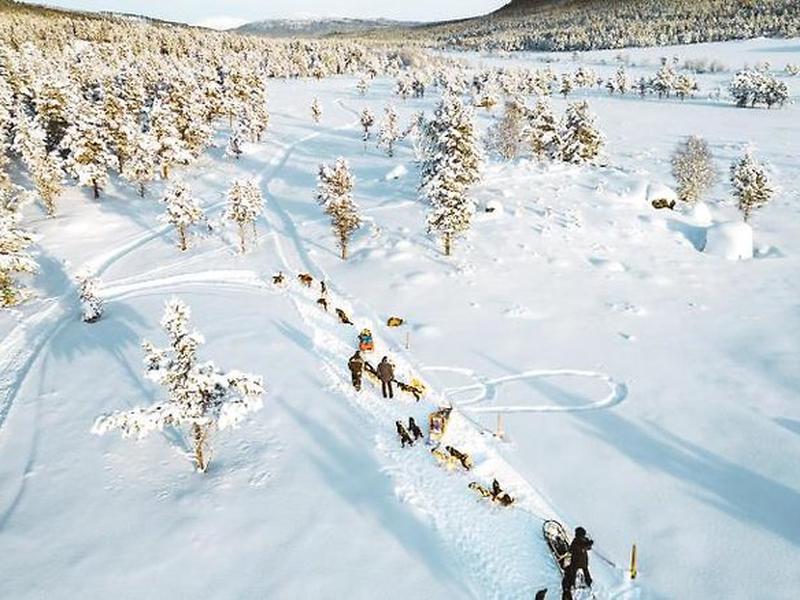 CC918914C9EE2658B4669DDB1542A456