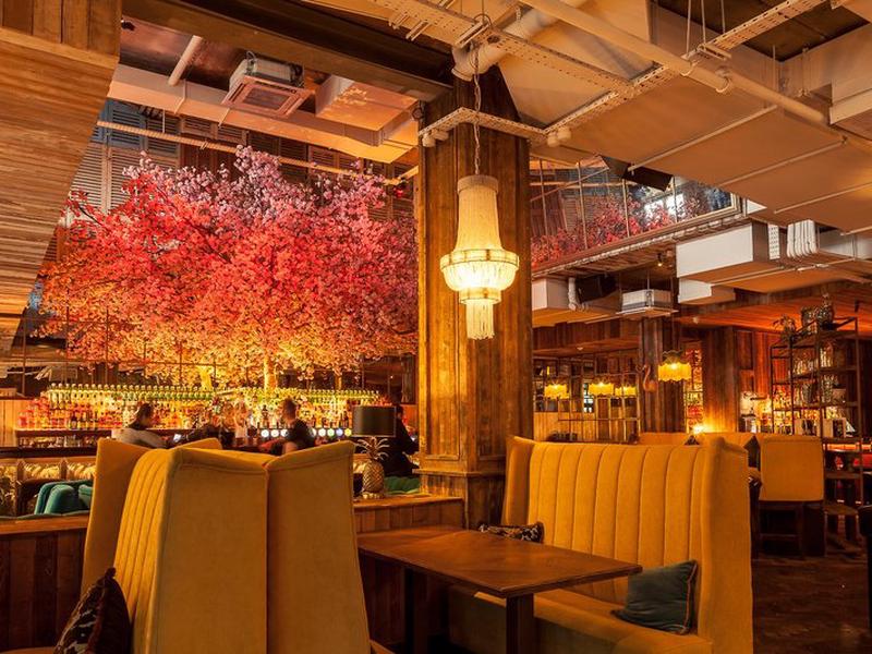 799B387746EAE37837651E00B253784F