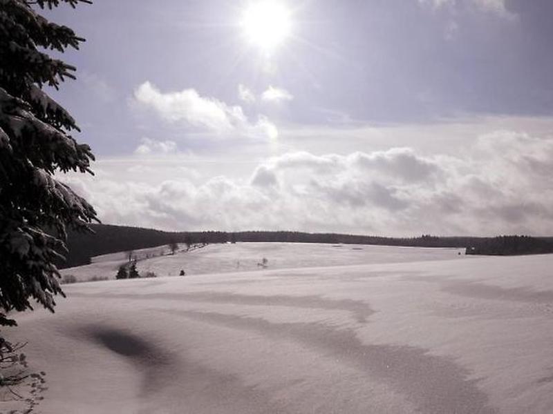 3044B993E528F1EE3FA23DB224DB5E03