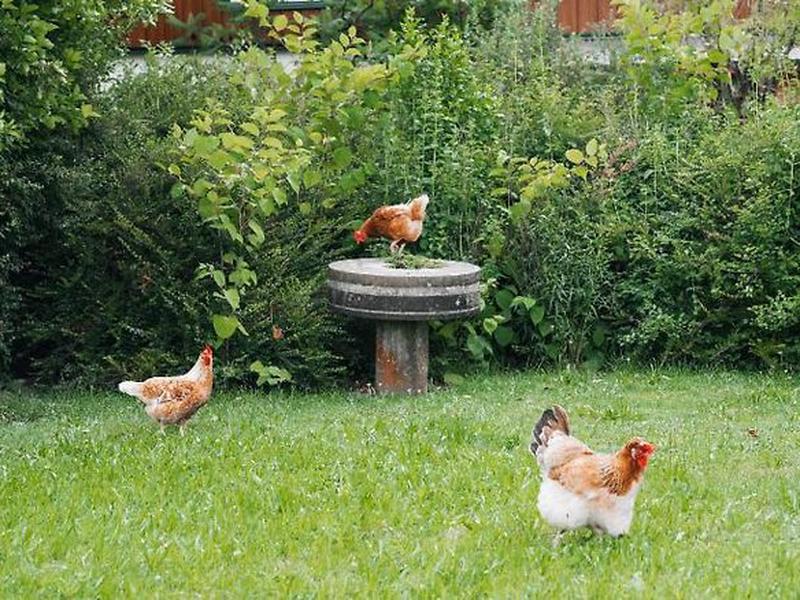 0FF9F84B2AD1723388431289EDFBCA21