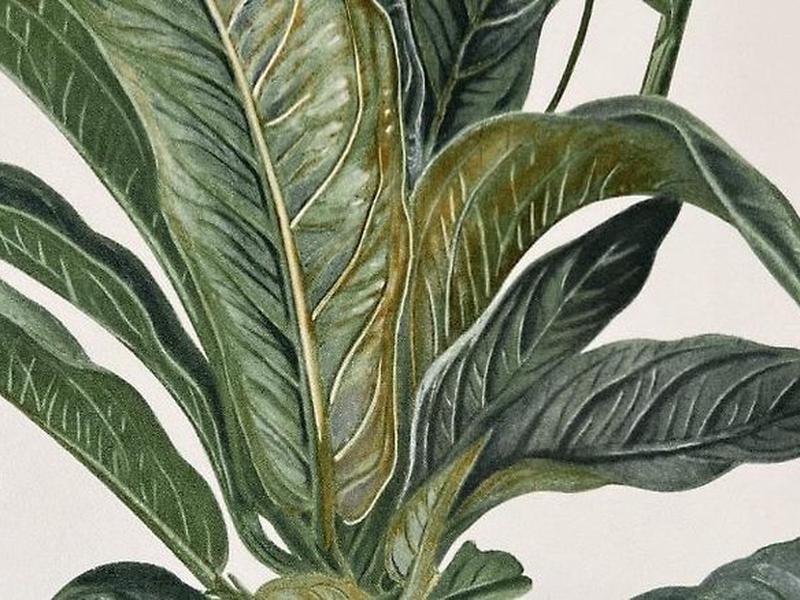 C44118B6ABACF56AC54B259B6D8943AB