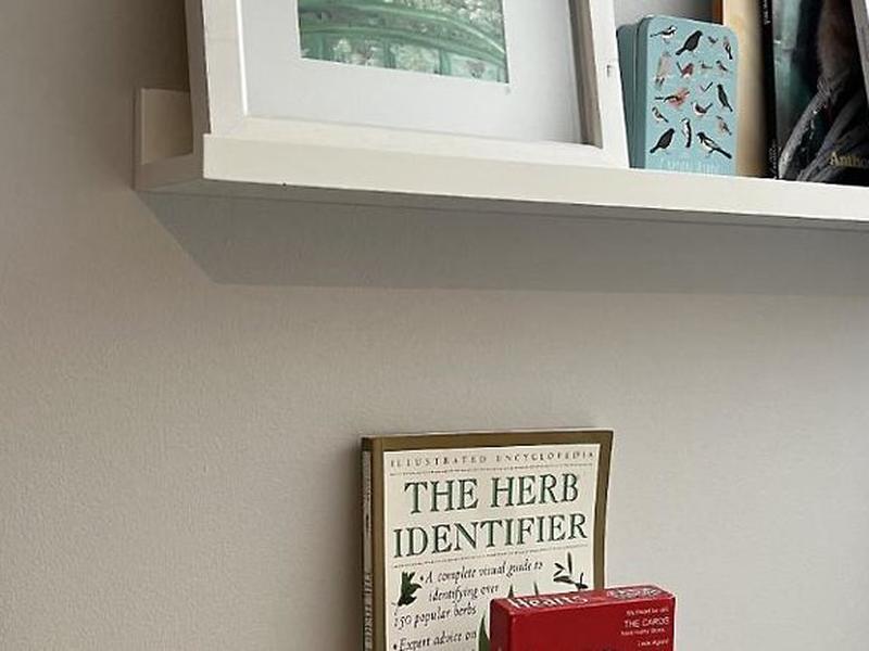 C8DE2BB1A99BB7422257686B6691441C