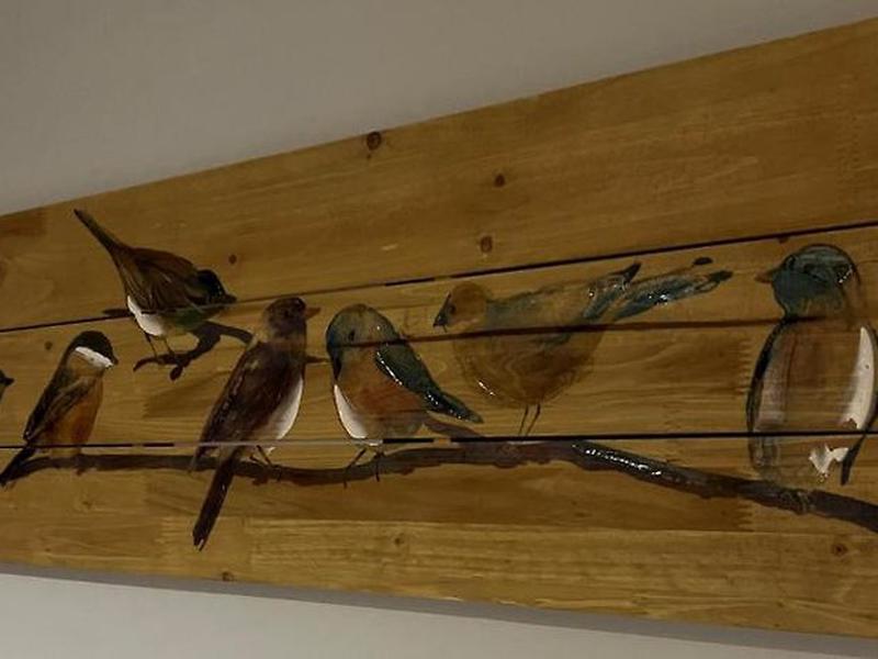 DB791A6D5BE99970C2C67D99A4FAF6AA