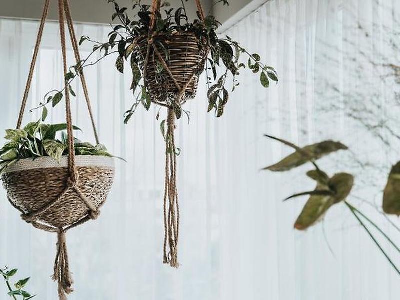 8DECAC26F7BFD77803EE221C52DB61FD