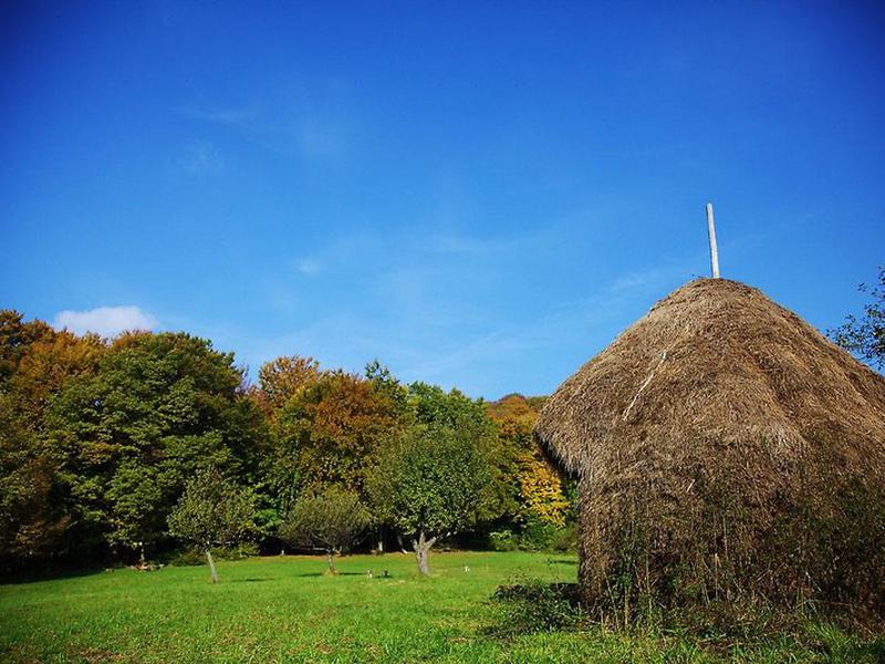 5FC27B94F94A3885E322270A32CAEA84