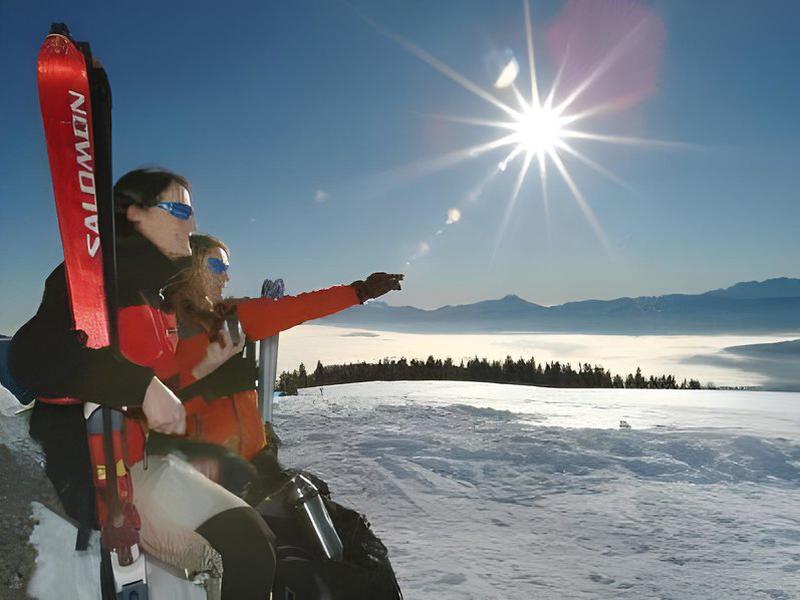 8E86BBBD040B2D498730AB7ACB0EDD50