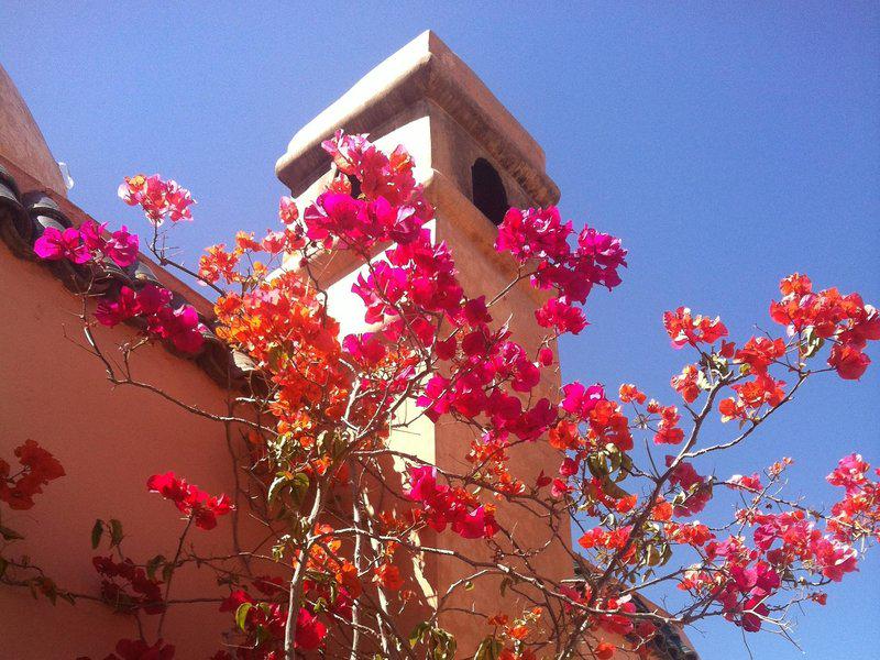 FE947E80342F10A73C0922BF9354A02A