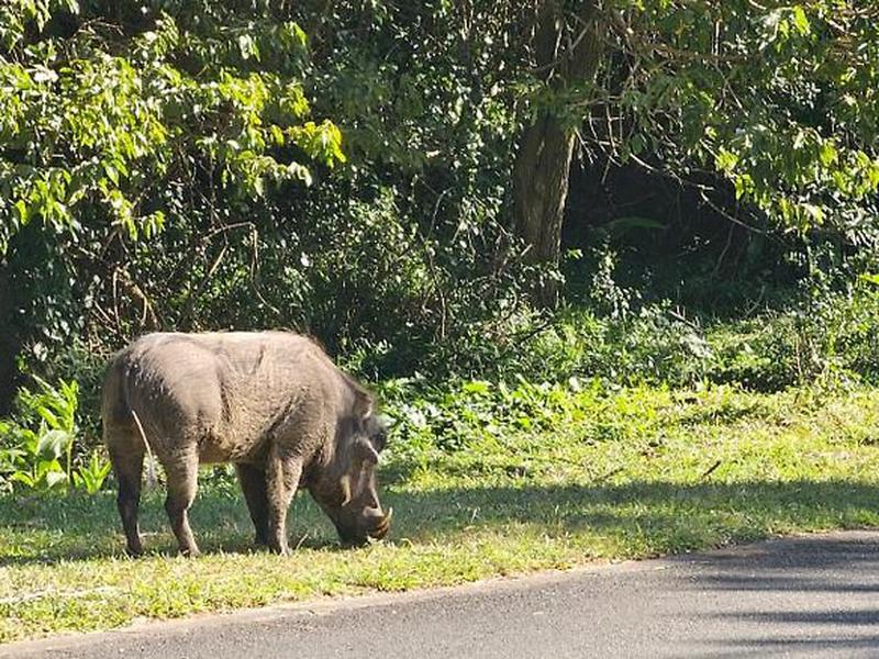 BE29B02F83F45B0104240140A1380CD7