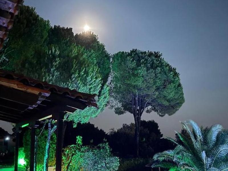 CEAE91C39E4D536E5BE21D27756AD4B5