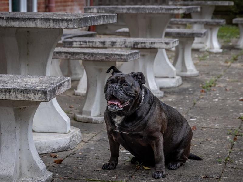 B0180B1EAF86CC7671E54B90F7E4B762