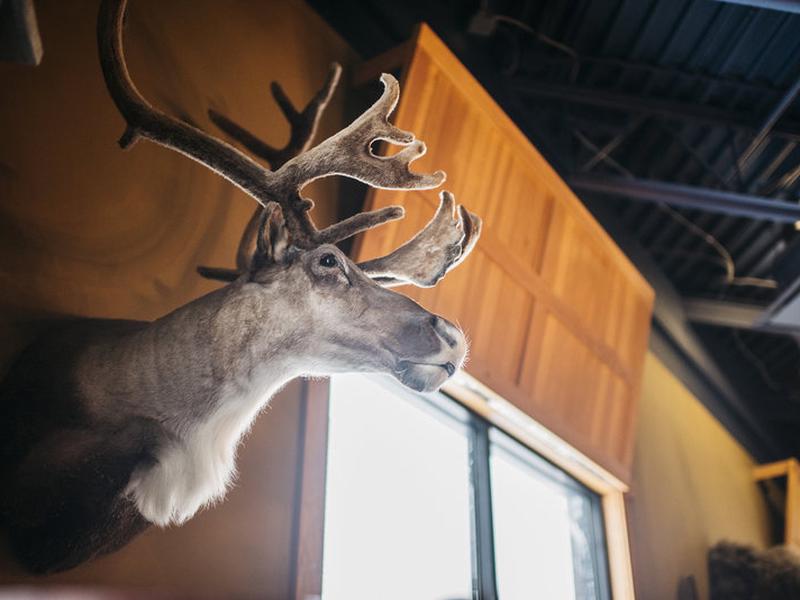 6240599B1617336EC8CDED1B94A60E49