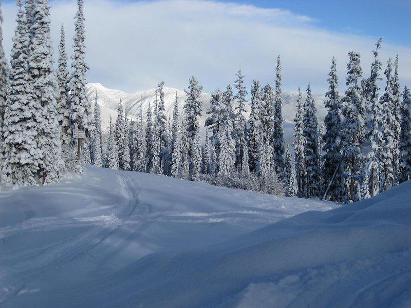 863772D9519A617F92652B556521A654