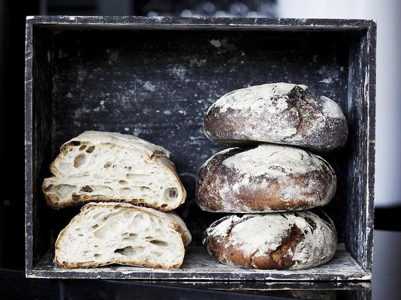 A1FFED4246FE5ED2CD09AE2BCBA05C56