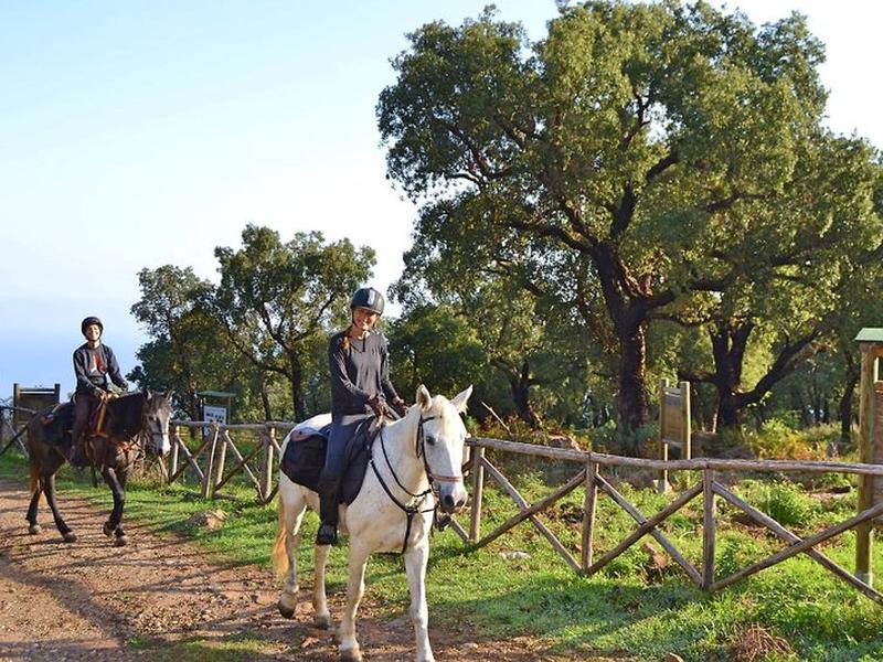 A7464C553FDDD0FB55F88327373D79E0