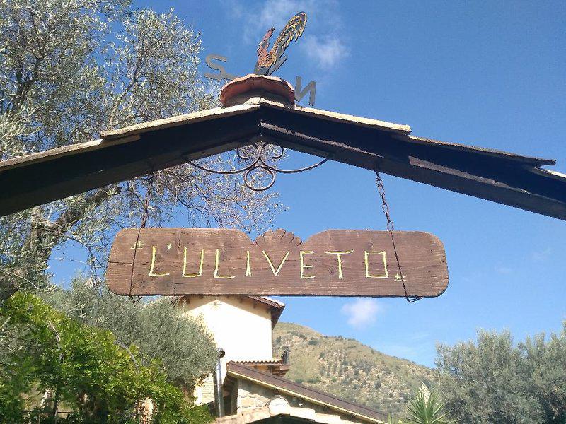 1CA9CD07D0622FCA6381E844E051C6B1