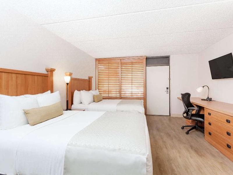 F8779C125D624F5703671ED990DA1B7C