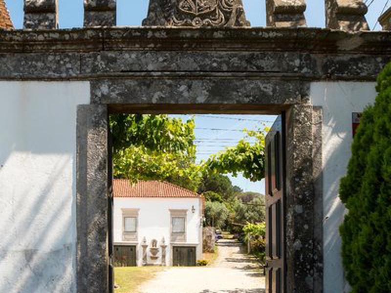 6AA26DF17C42D4E3FA67A37DB43EE6D6